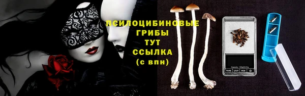 прущая мука Медвежьегорск
