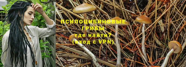 a pvp Мегион